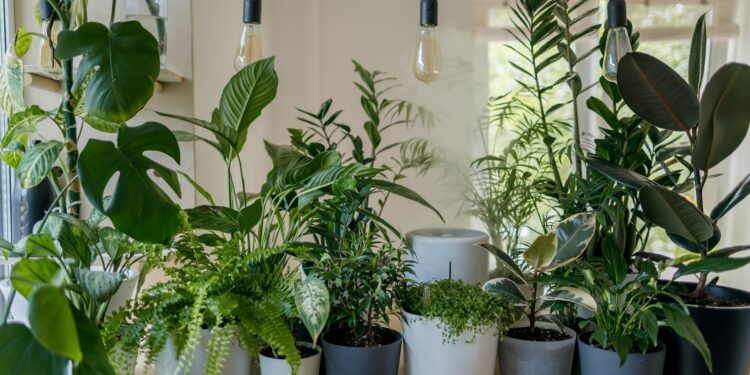 Foto: vadim kaipov/Unsplash