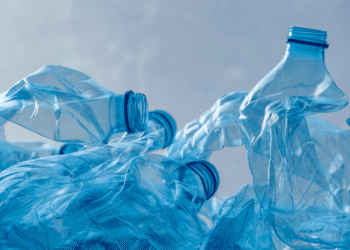 Pesquisadores alcançam grande avanço com novo material que pode substituir o plástico