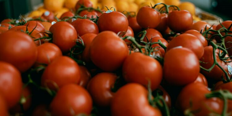 Foto: Colby Winfield/Unsplash