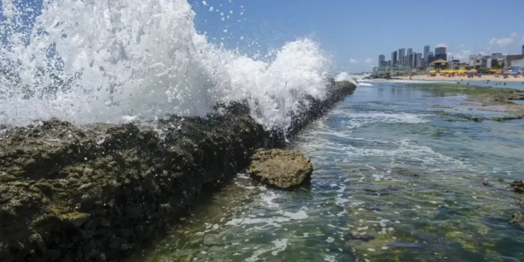 Foto: Fernando Frazão/Agência Brasil