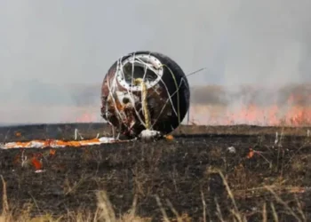 Cientistas fizeram testes para confirmar: a Arca de Noé está de volta em 2025