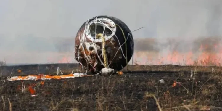 Cientistas fizeram testes para confirmar: a Arca de Noé está de volta em 2025