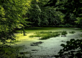 Foto: Håkon Grimstad/Unsplash