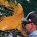 Descoberta inacreditável: pescadores avistam tubarão com coloração única