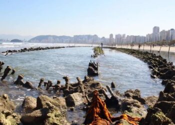 Gigante de 80 metros ficou "escondido" no mar por mais de 5 anos e agora voltou a aparecer em São Paulo