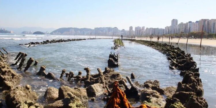 Gigante de 80 metros ficou "escondido" no mar por mais de 5 anos e agora voltou a aparecer em São Paulo