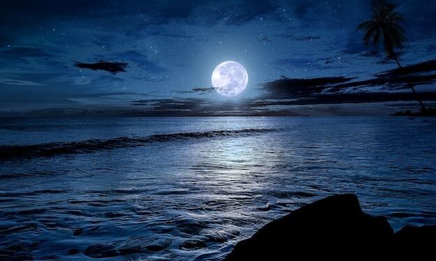 Assustador! Lua cheia ativa modo feroz de animal que vive nos oceanos