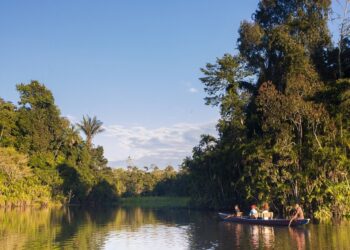 Amazônia escondeu isso por séculos: monstro de 8 metros finalmente foi avistado