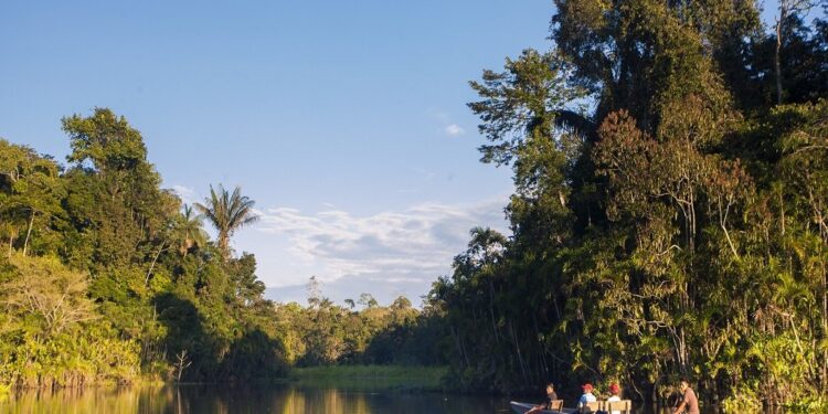 Amazônia escondeu isso por séculos: monstro de 8 metros finalmente foi avistado