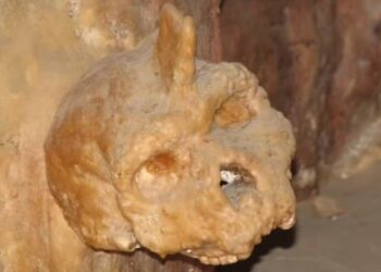 Cientistas revelam um crânio estranho com chifres, mais antigo que os dinossauros