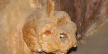 Cientistas revelam um crânio estranho com chifres, mais antigo que os dinossauros