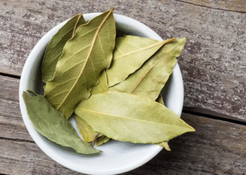Ferver folhas de louro em casa: quais são seus benefícios e por que recomendam