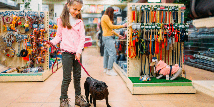 A primeira coisa que você deve checar antes de usar qualquer serviço de pet shop