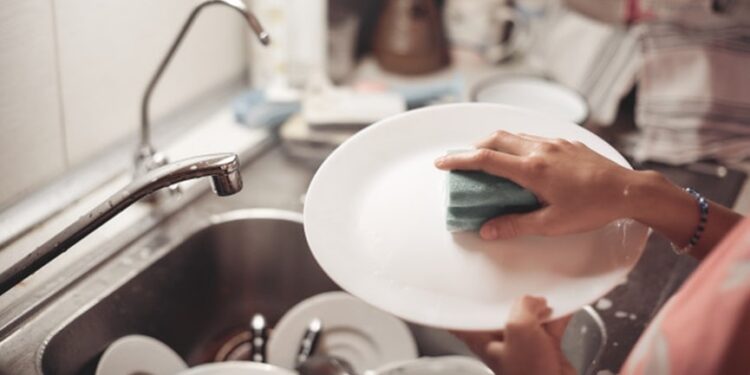 Diga adeus às esponjas de cozinha: a alternativa sustentável que faz sucesso