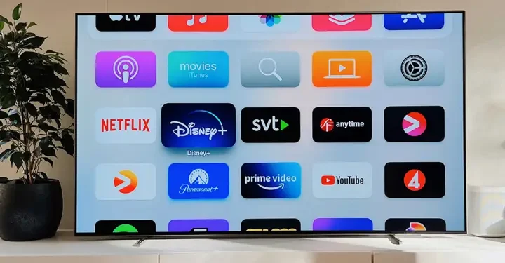 Não é a Netflix! O que está por trás do streaming que perdeu uma fortuna em assinaturas