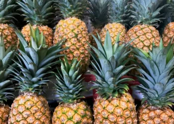 Flagrante nas ruas: abacaxis adulterados estão sendo vendidos em plena luz do dia