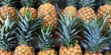 Flagrante nas ruas: abacaxis adulterados estão sendo vendidos em plena luz do dia