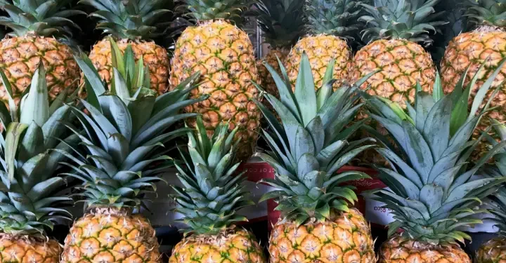 Flagrante nas ruas: abacaxis adulterados estão sendo vendidos em plena luz do dia