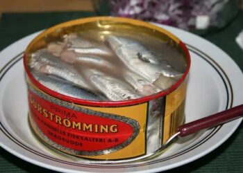 A comida mais fedorenta do mundo custa mais de R$ 300 e vem direto do fundo do mar