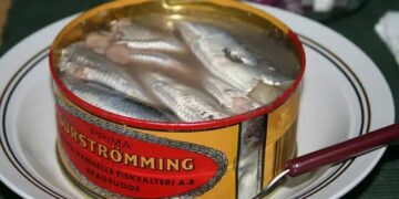 A comida mais fedorenta do mundo custa mais de R$ 300 e vem direto do fundo do mar
