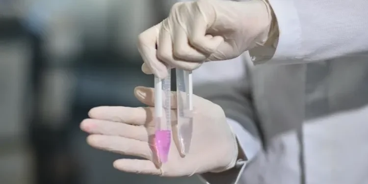 Canudo que detecta metanol em bebidas chega ao Brasil: saiba como funciona