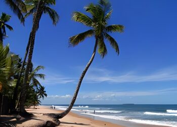 Foto: Barra Grande.net/Reprodução