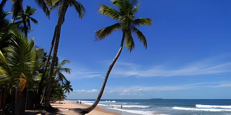 Foto: Barra Grande.net/Reprodução