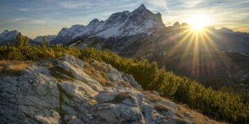 Foto: Sagui Andrea/Pexels