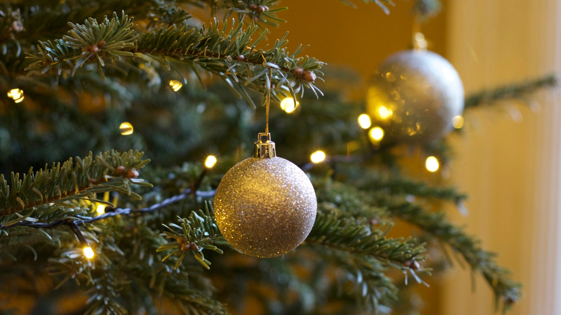 A árvore de Natal tradicional não está mais na moda: qual é a nova alternativa que será tendência neste fim de ano