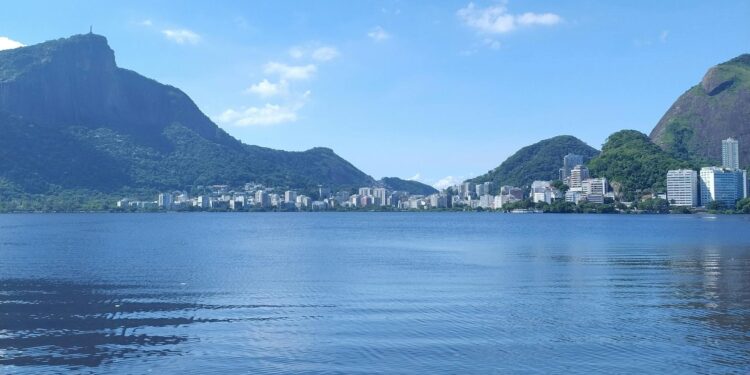 Foto: Vinícius Jose/Pexels