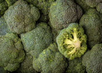 - Se você ferver o brócolis, não faça mais isso: por que os especialistas não recomendam