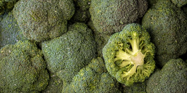 - Se você ferver o brócolis, não faça mais isso: por que os especialistas não recomendam