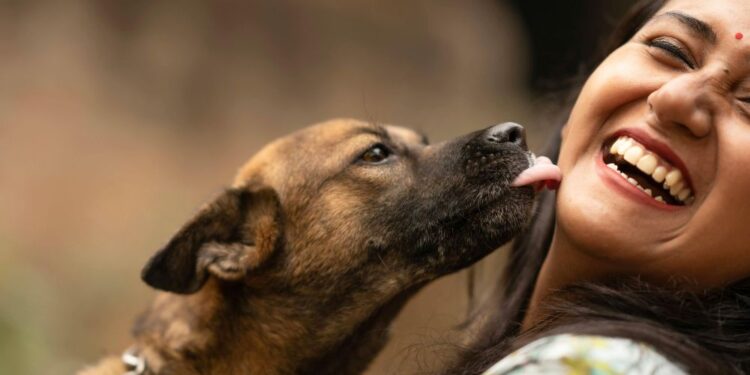 A razão pela qual deixar seu cachorro te dar lambidas no rosto não é tão boa ideia, segundo uma veterinária