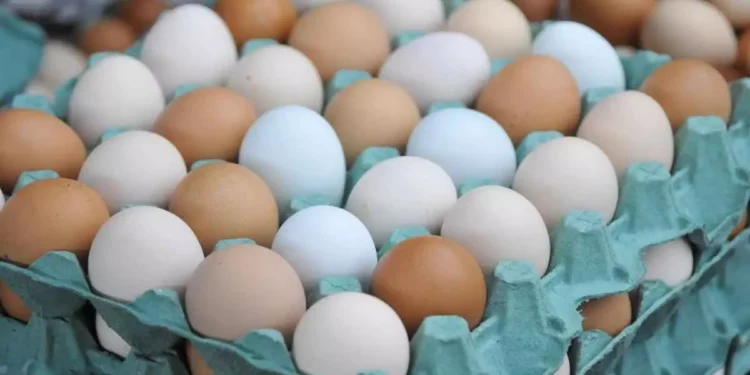 Poucos sabem: como descobrir se os ovos estão estragados sem quebrá-los