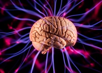 O que acontece no cérebro nos últimos segundos da vida: descobertas chocantes