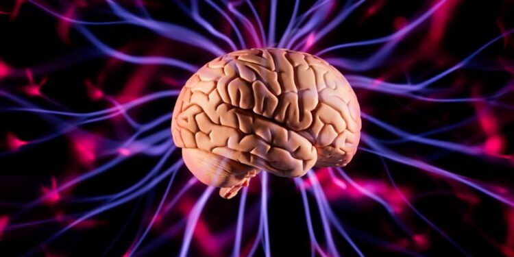 O que acontece no cérebro nos últimos segundos da vida: descobertas chocantes