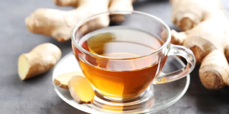 A bebida que nutricionistas indicam para turbinar seu metabolismo