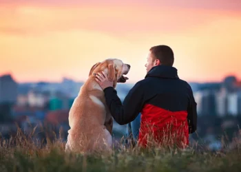 Parecia impossível, mas a ciência descobriu o método perfeito para você conseguir conversar com seu cachorro