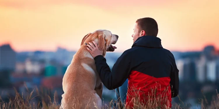 Parecia impossível, mas a ciência descobriu o método perfeito para você conseguir conversar com seu cachorro