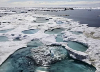 Cientistas alertam: seres vivos antigos revivem no Alasca após mais de 40 mil anos presos no gelo