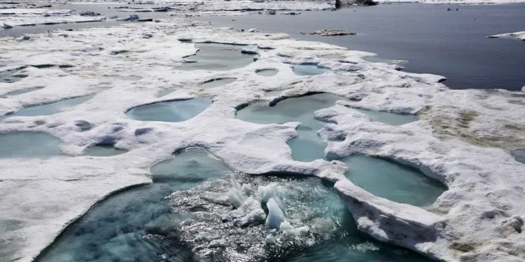 Cientistas alertam: seres vivos antigos revivem no Alasca após mais de 40 mil anos presos no gelo