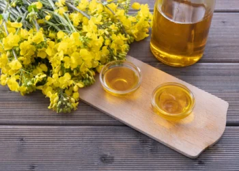 Adeus ao azeite de oliva: a alternativa de óleo econômica, nutritiva e rica em vitamina