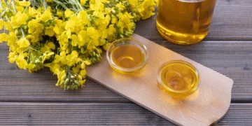 Adeus ao azeite de oliva: a alternativa de óleo econômica, nutritiva e rica em vitamina