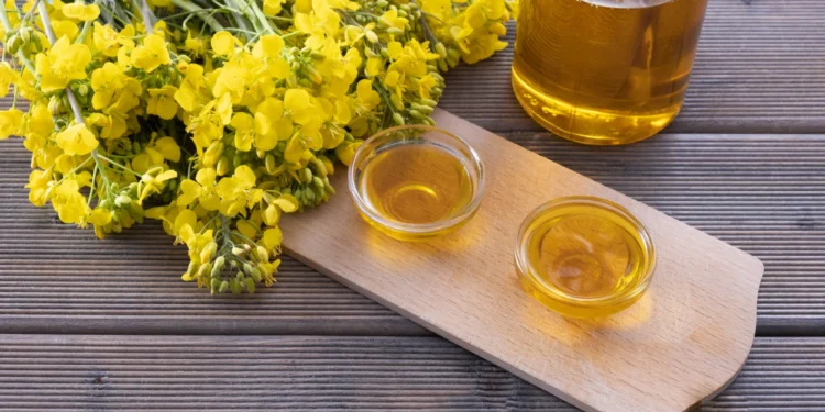 Adeus ao azeite de oliva: a alternativa de óleo econômica, nutritiva e rica em vitamina