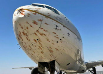 Avião chegou amassado e coberto por sangue no aeroporto, após acidente incomum