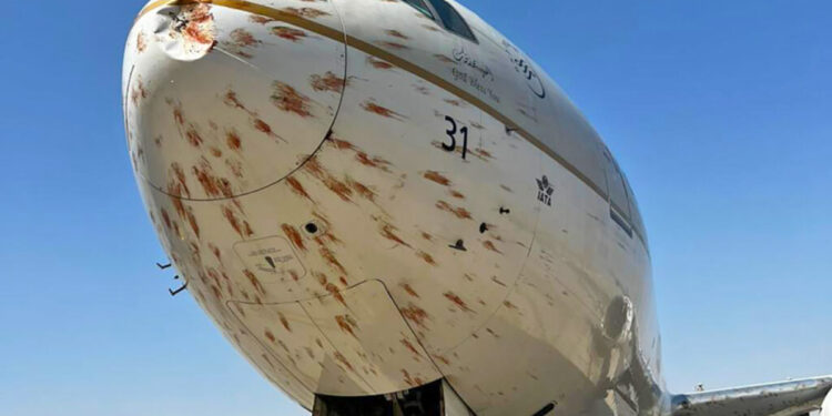 Avião chegou amassado e coberto por sangue no aeroporto, após acidente incomum