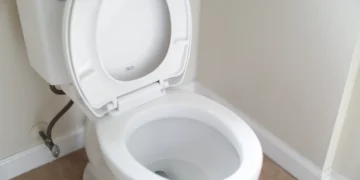 A ciência explica: por que nunca se deve dar a descarga do vaso sanitário com a tampa levantada