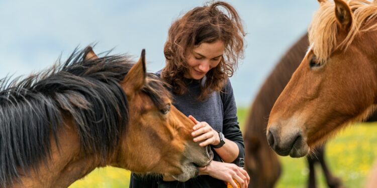 Foto: Shahabudin Ibragimov/Unsplash