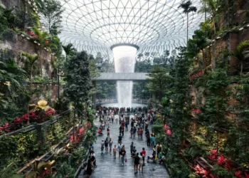 write a text with more than 450 words