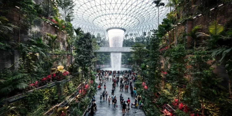 write a text with more than 450 words